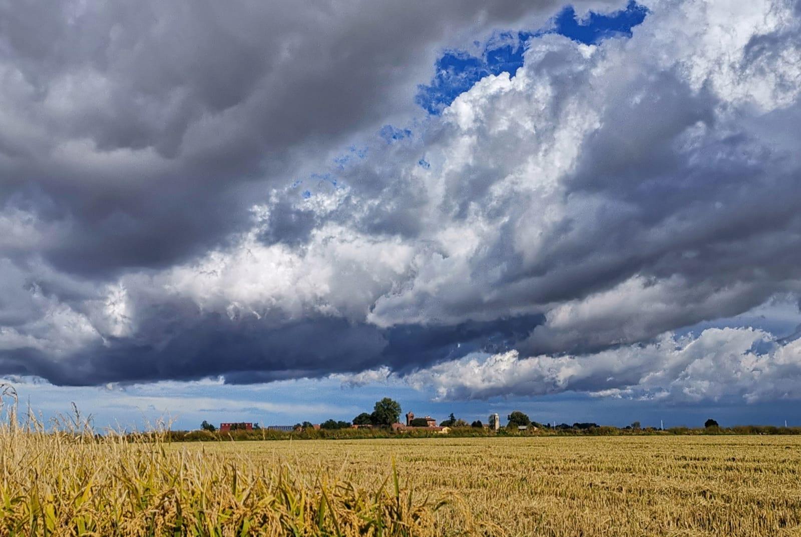 progetto collegiale non residente